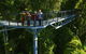 Tamborine Rainforest Skywalk - thumb 1