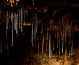 Tamborine Mountain Glow Worm Caves - eAccommodation 0