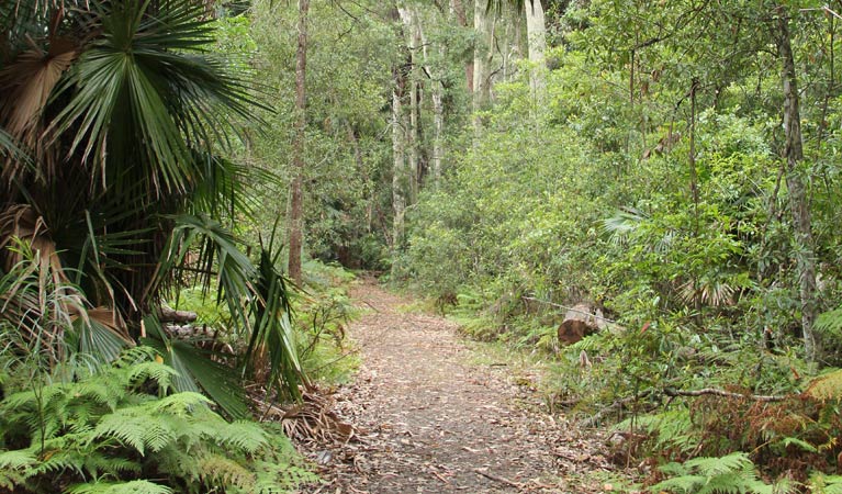 East Lynne NSW eAccommodation