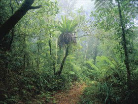 Wagawn - eAccommodation 0