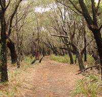 Pretty Beach to Snapper Point walking track - eAccommodation