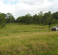 Numinbah Valley Adventure Trails - eAccommodation