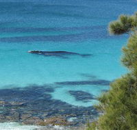Jervis Bay Marine Park - eAccommodation