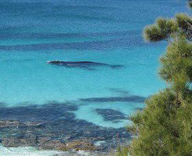 Jervis Bay Marine Park - eAccommodation 0