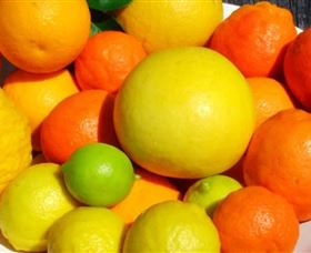 Fruit Salad Tree Company - eAccommodation 2