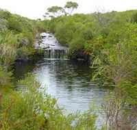Booderee National Park Green Patch and Telegraph Creek Walking Tracks - eAccommodation