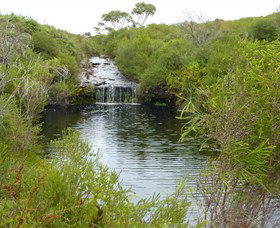 Booderee National Park: Green Patch And Telegraph Creek Walking Tracks - eAccommodation 0