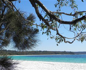 Booderee National Park: Green Patch And Telegraph Creek Walking Tracks - eAccommodation 6