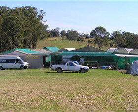 Tinonee Orchid Nursery - eAccommodation 0