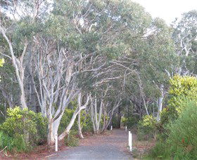 Booderee National Park: Munyunga Waraga Dhugan Walking Trail - eAccommodation 3