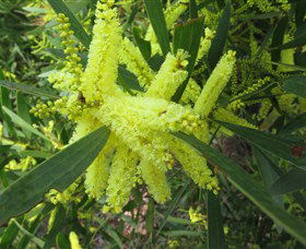 Booderee National Park: Munyunga Waraga Dhugan Walking Trail - eAccommodation 1