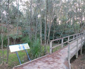 Booderee National Park: Munyunga Waraga Dhugan Walking Trail - eAccommodation 8