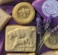 Honeycomb Valley Farm - eAccommodation