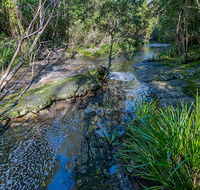 Dawson River walking track - eAccommodation