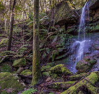 Coorabakh National Park - eAccommodation