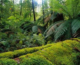 Bemm River VIC eAccommodation