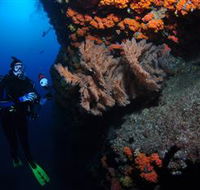 Gotham City Dive Site - eAccommodation