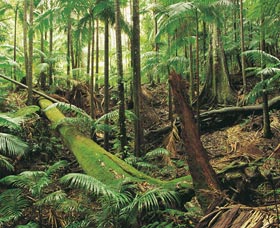 Murwillumbah NSW eAccommodation