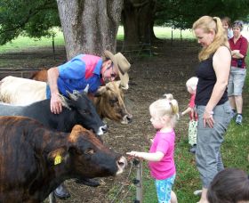 Crystal Creek NSW eAccommodation