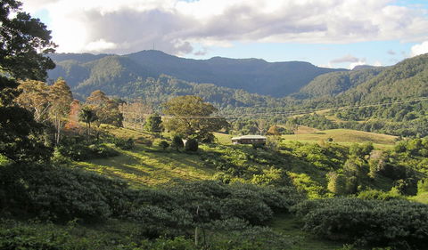 Mount Nardi Picnic Area - eAccommodation 0