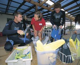 Dolphin Discovery Centre - eAccommodation 1