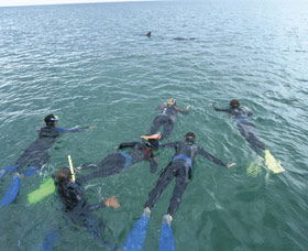 Dolphin Discovery Centre - eAccommodation 2