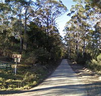 Box Cutting Rainforest Walk - eAccommodation