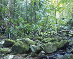 Rocky Creek Dam - eAccommodation 5