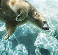 Australia's Sea World - eAccommodation