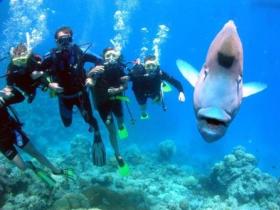 Henderson's Rock Dive Site - eAccommodation 0