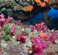 Cherubs Cave Dive Site - eAccommodation