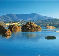 Wagonga Picnic Area - eAccommodation