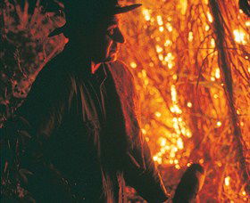 The Shed Gallery - eAccommodation 0