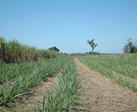 The Shed Gallery - eAccommodation 1