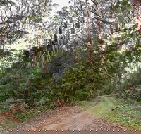 End Peak walking track - eAccommodation