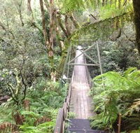 Bemm River Scenic Reserve - eAccommodation