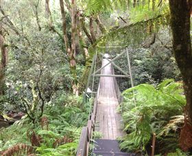 Bemm River Scenic Reserve - eAccommodation 0