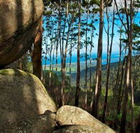 Mount Gulaga Mount Dromedary Walk - eAccommodation