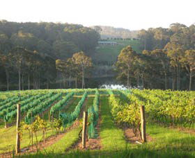 Bellbird Scenic Drive Tilba - eAccommodation 3