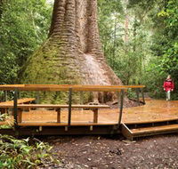 Burrawan State Forest - eAccommodation