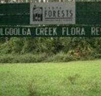 Woolgoolga Creek Flora Reserve - eAccommodation