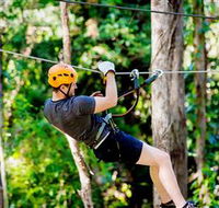 TreeTop Challenge Currumbin - eAccommodation