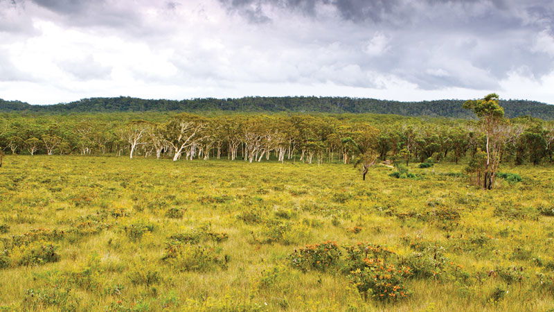 Minnie Water NSW eAccommodation