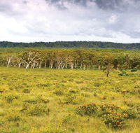Yuraygir National Park - eAccommodation