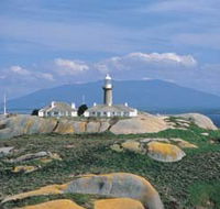 Montague Island Nature Reserve - eAccommodation