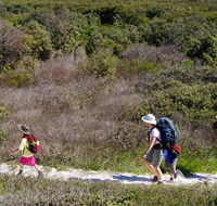Yuraygir coastal walk - eAccommodation