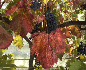 Mimosa Wines - eAccommodation 1