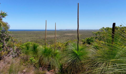 Broadwater National Park - eAccommodation 1