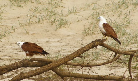 Broadwater National Park - eAccommodation 2