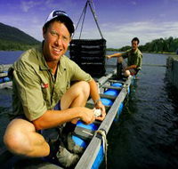 Armstrong Oysters - eAccommodation